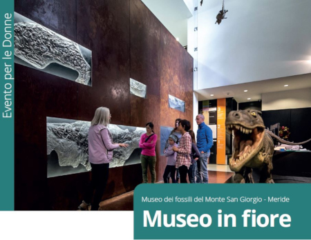 Museo in fiore - Meride